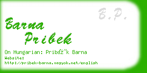 barna pribek business card